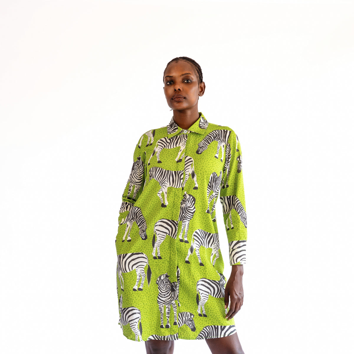 NOVA | Classic Button-down Shirt Dress