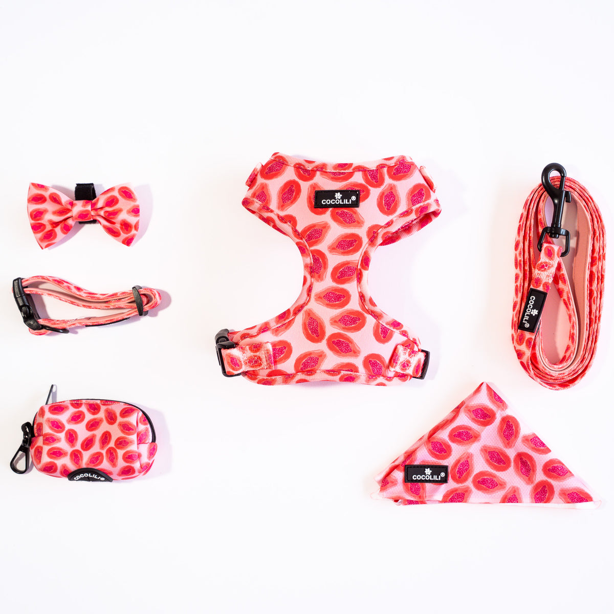 KIPENZI | Dog Accessories Set (Extra Small)
