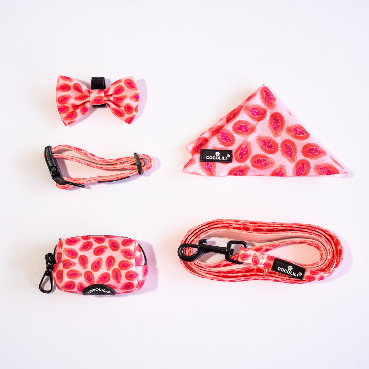 KIPENZI | Dog Accessories Set (Extra Small)