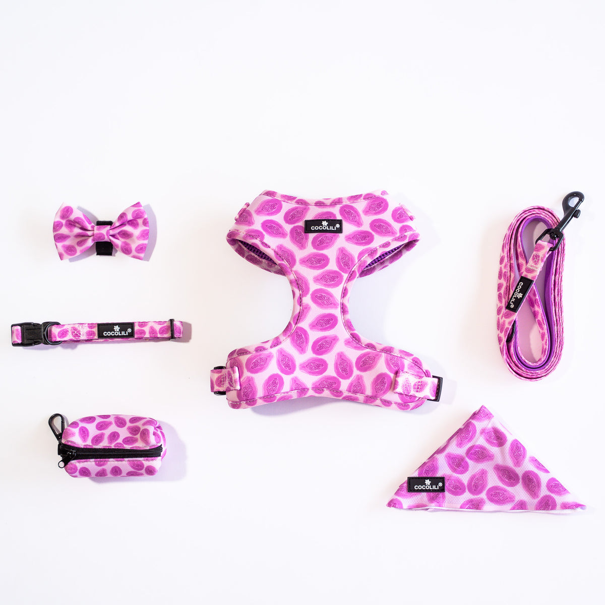 KIPENZI | Dog Accessories Set (Small)
