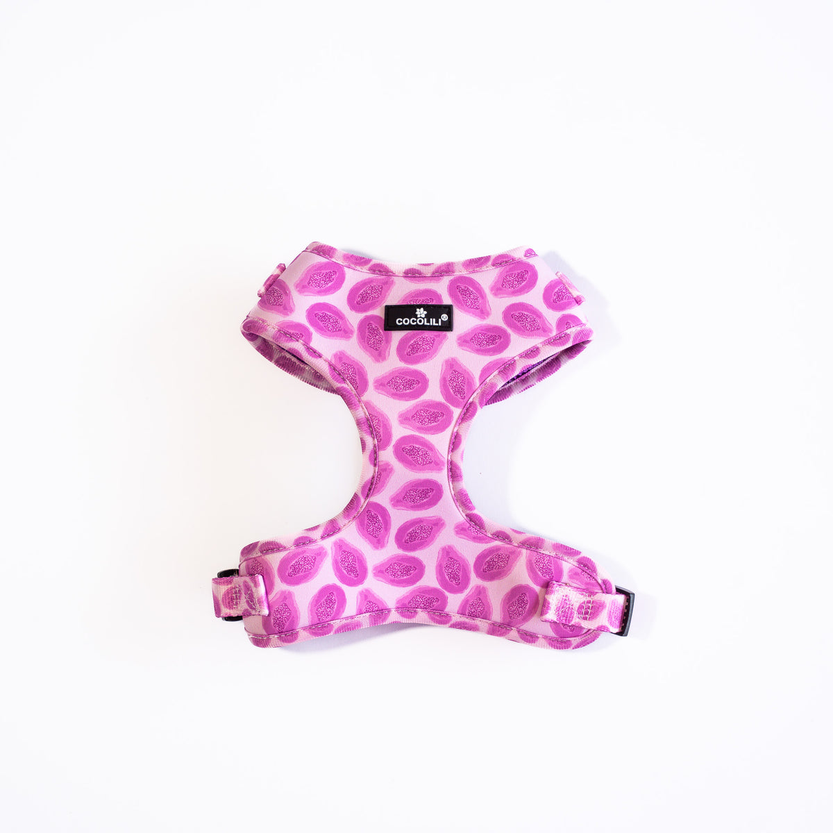 KIPENZI | Dog Accessories Set (Small)