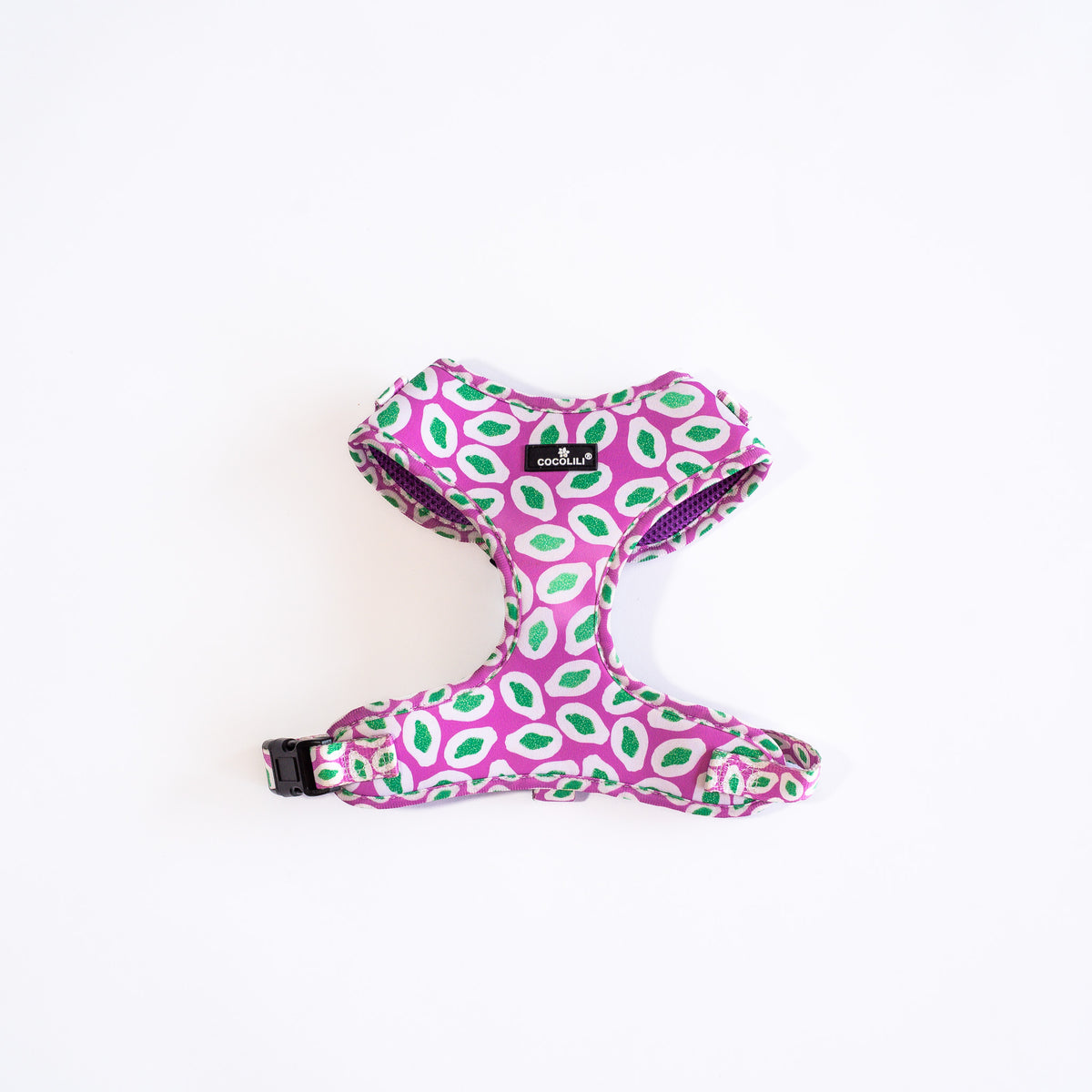 KIPENZI | Dog Accessories Set (Medium)
