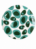 COCOLILI Evergreen Mafiga new bone china porcelain dinner plate