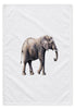 Solo Tembo cotton tea towel, 45 × 65 cm, with woven texture on a white studio background